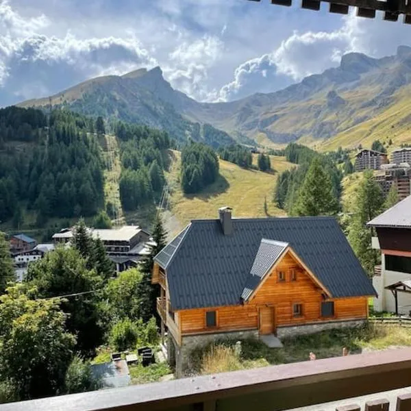 Appartement chaleureux au coeur de la station La foux d'Allos，阿洛斯的飯店