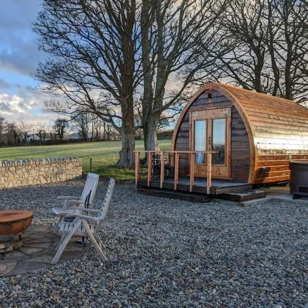 The Pod Fabulous glamping pod near Snowdonia., hotel in Pen-y-groes