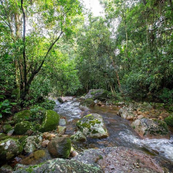 Cachoeira Privativa + Termas a 8min e momento em família