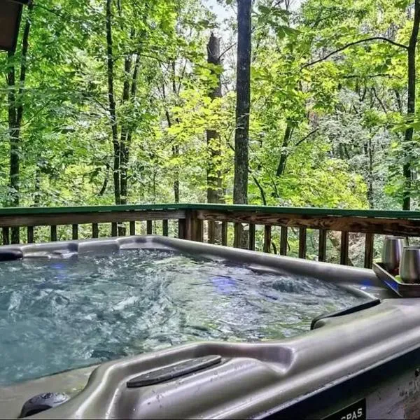 Beary Peaceful Smokies Retreat: Hot-Tub & Pools, hotel in Pigeon Forge