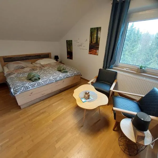 HomeW4 Apartment Waldviertel, hotel v destinaci Hoheneich