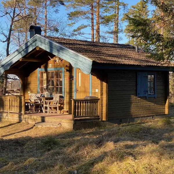 Timrad stuga i kanten av skogen med SPA möjlighet, hotel in Blåhult
