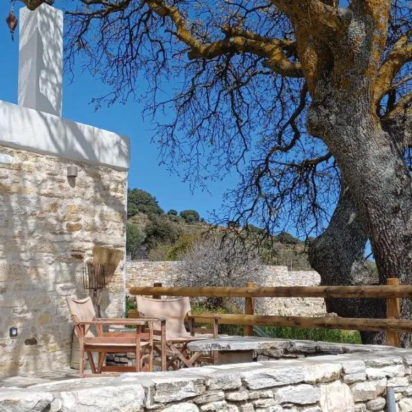 Hatzanario Apeiranthos, hotel v destinaci Apérathos