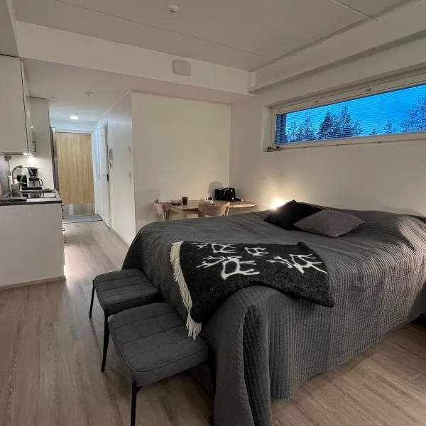 Aurinkorinne A19, hotel in Levi