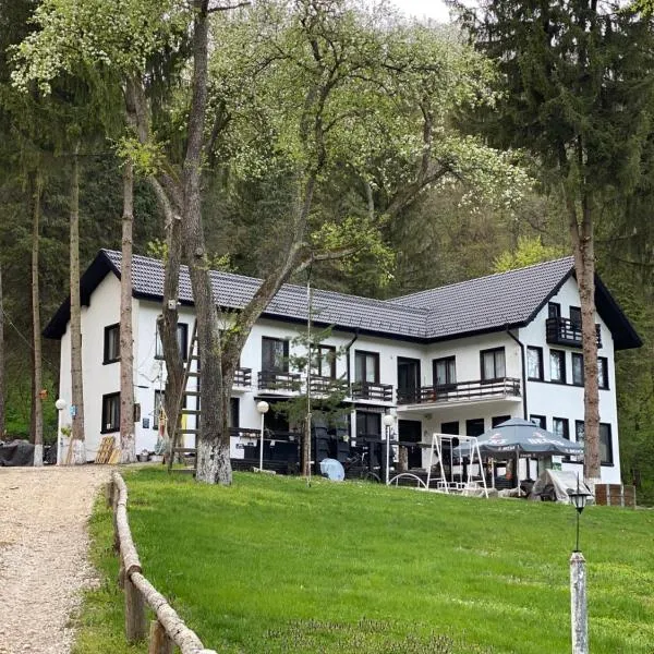 Starite Borove, hotel Szinagovciban