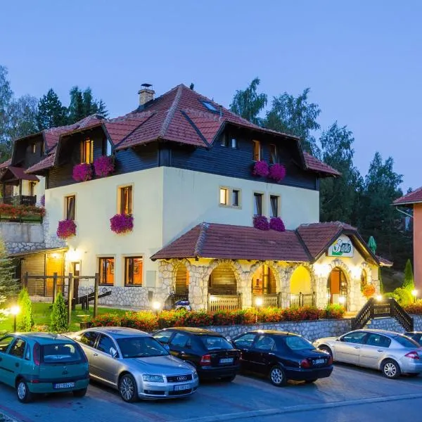 Guest House Vila Bajka, hotel in Zlatibor