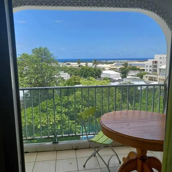 Appartement spacieux, khách sạn ở Sainte-Clotilde