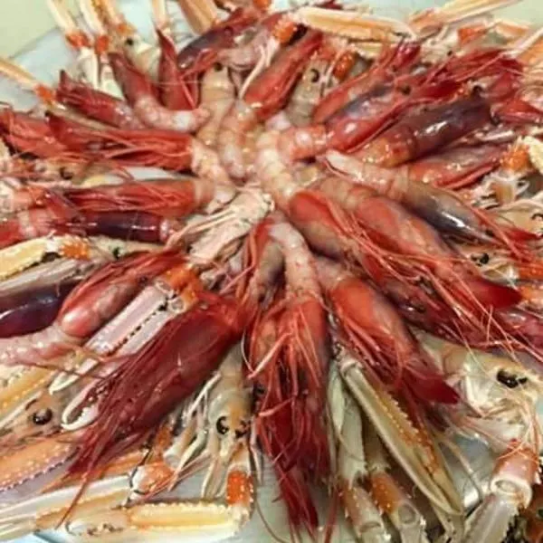 appartamenti del pescatore, Hotel in Savelletri