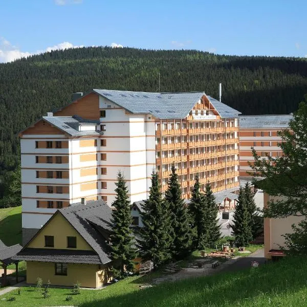 Residence Hotel, hotel v Starých Horách