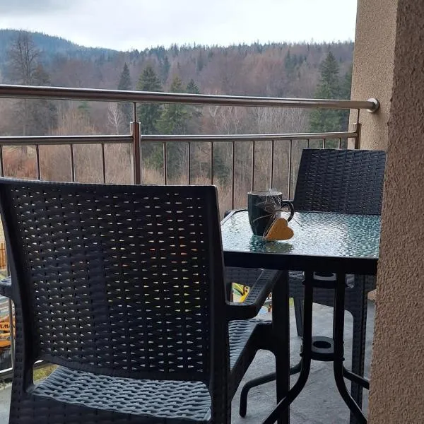 Skalnica- apartamenty z widokiem na góry, przy szlakach, hotel sa Karpacz