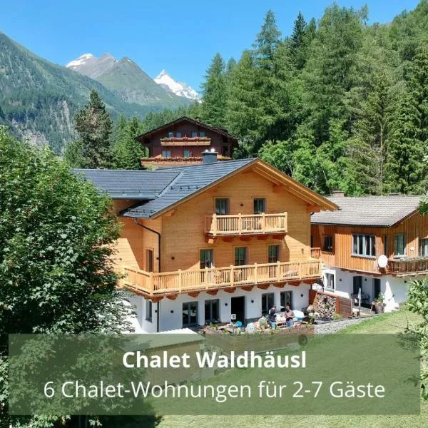 Chalet WaldHäusl luxuriöse Ferienwohnungen mit Sauna & Whirlpool, Kamin, Balkon oder Terrasse mit Bergblick, hotell sihtkohas Heiligenblut