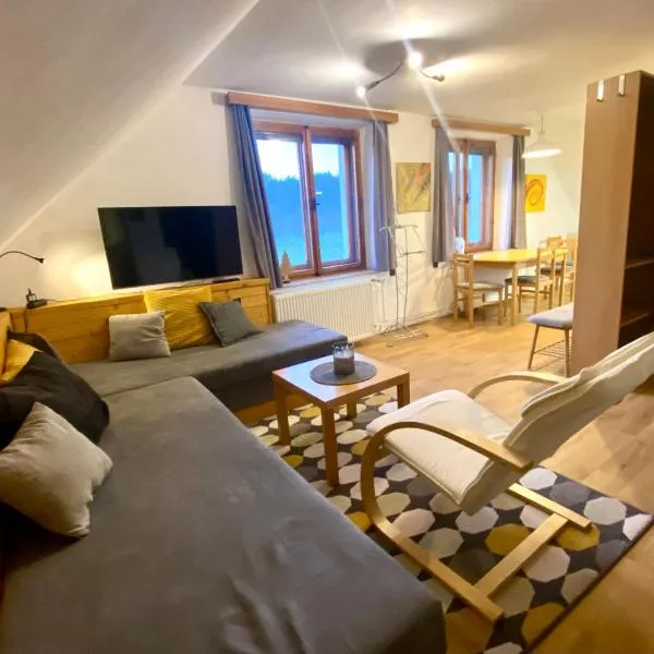 Apartmán Ivko, hotel v Letohradě