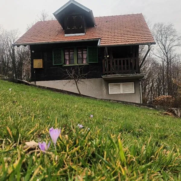 Holiday Home MILa, Hotel in Stubicke Toplice