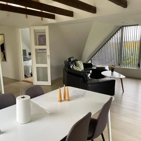 Hilmor's Lejligheder, hotel v destinaci Viborg