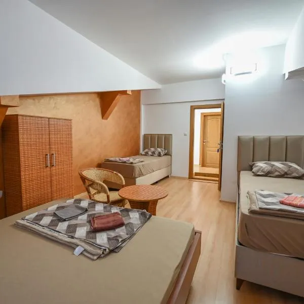 Hostel Izvor, hotel v destinaci Podgorica
