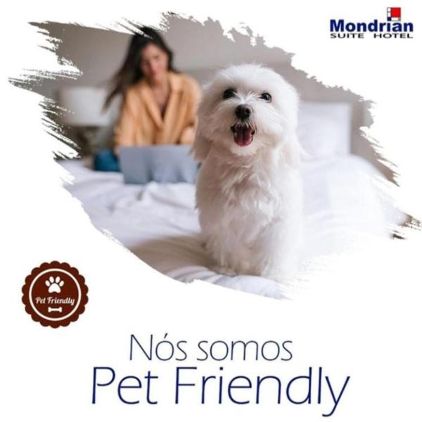 Mondrian Suite Hotel - Foto 5