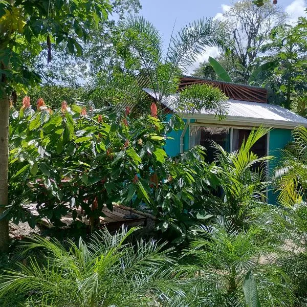 El Tucán Feliz - Jungle tiny guest house by Playa Cocles, hotell i Cocles