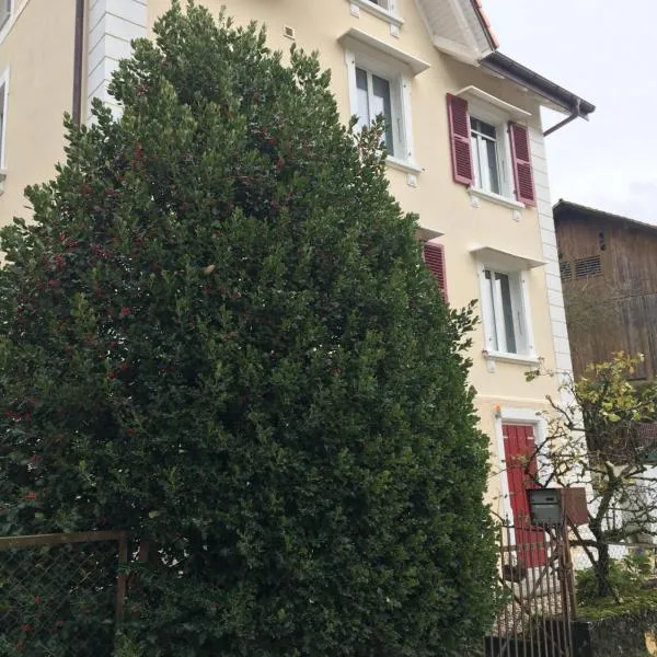 Le Houx, hotel v destinaci Comoret