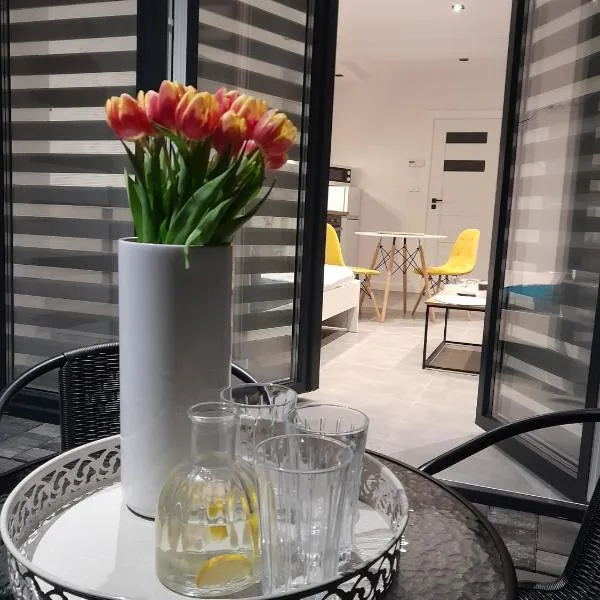 Viva Apartments, hotel in Oświęcim