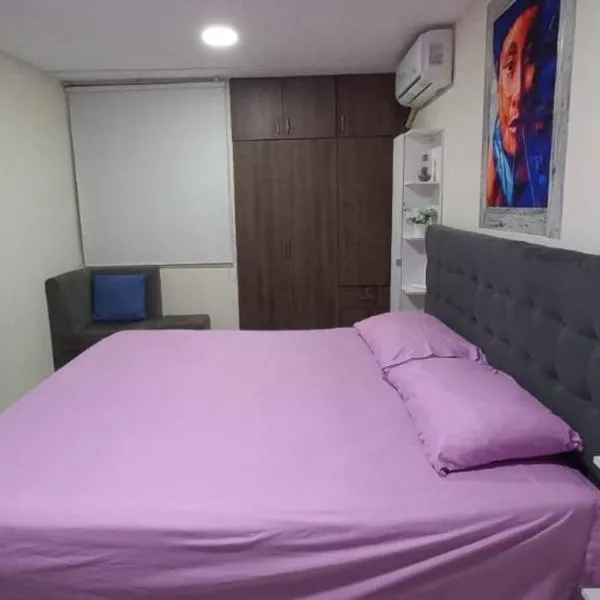 Apartamento con excelente ubicación., hotel in Santa Ana