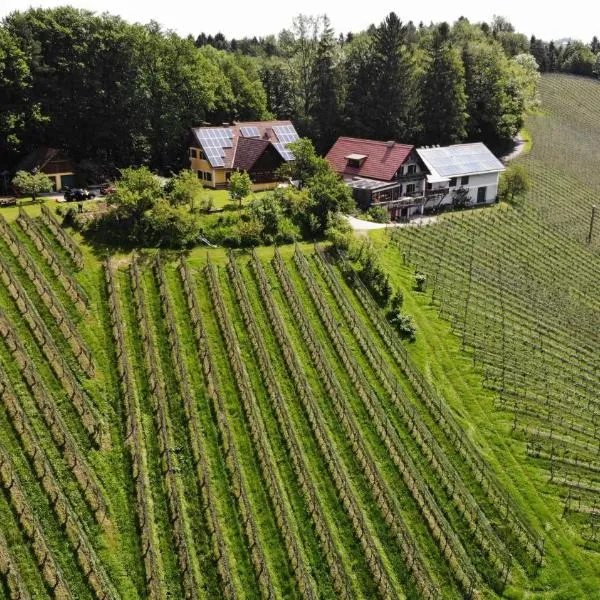 Weingut spitzyPeitler, hotel a Leutschach