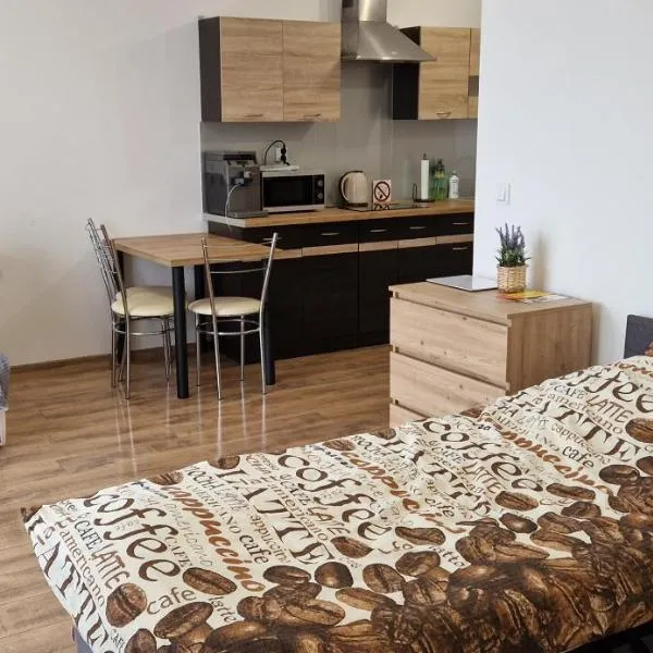 Apartament Słoneczny, hotel em Kostrzyn nad Odra