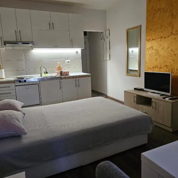 Apartmani Borko 1-1, hotel in Loznica