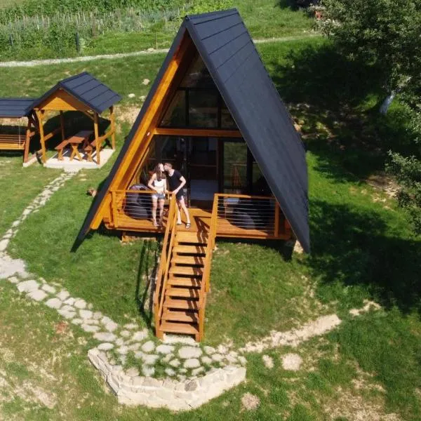 A Frame Cabin - Valea Vinului、Vişeu de Mijlocのホテル