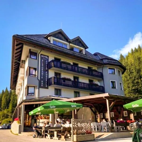 Biker Hotel Al Gallo Forcello, hotel v destinaci Passo Pramollo