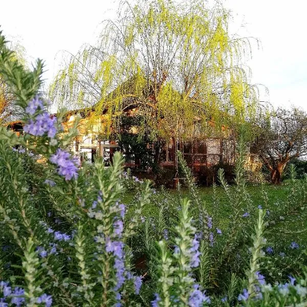 Podere Piandarca, hotel in Terranuova Bracciolini