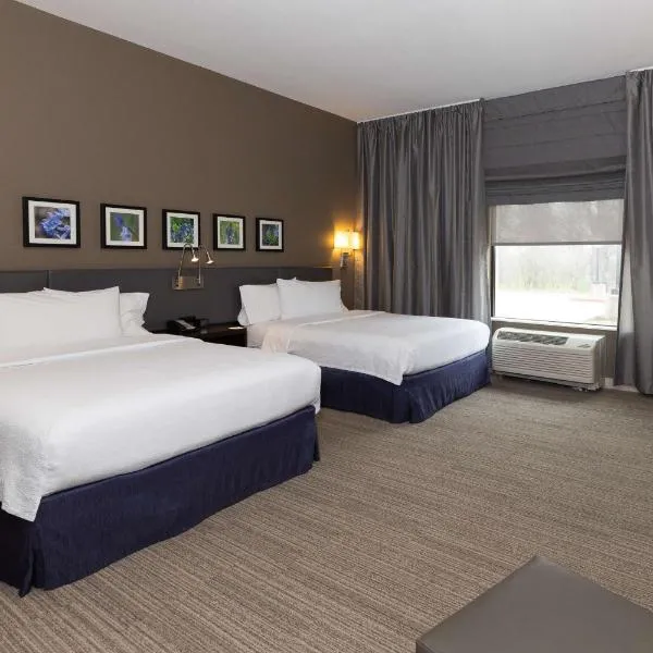 Hilton Garden Inn Austin Airport - photo 2