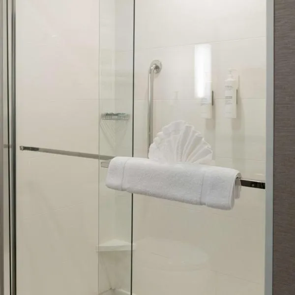 Hilton Garden Inn Austin Airport - photo 3