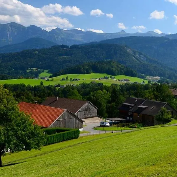 Bio Ferienbauernhof Greber, отель в городе Шварценберг-им-Брегенцервальд