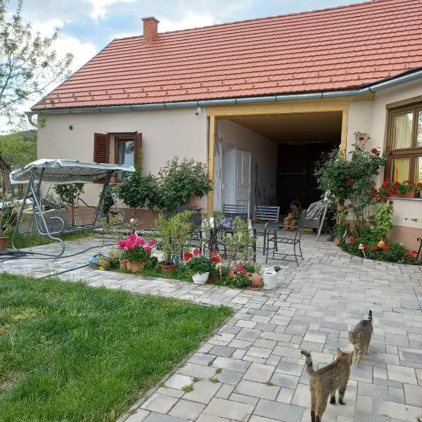 Bormegálló Vendégház – hotel w mieście Szekszárd