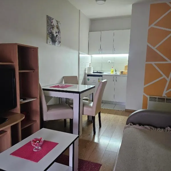 Apartmani Borko 3-2, hotel in Loznica