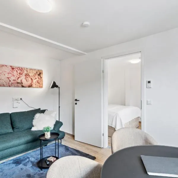FarawayHomes Studio Leoben #P82, hotel v destinaci Donawitz