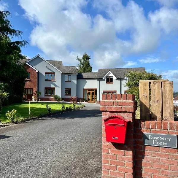 Roseberry House, hotel in Llangynllo