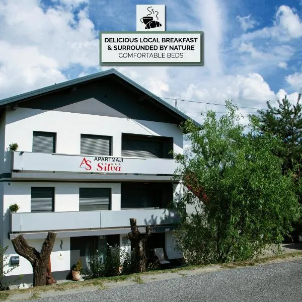 류토메르에 위치한 호텔 Apartments Silva