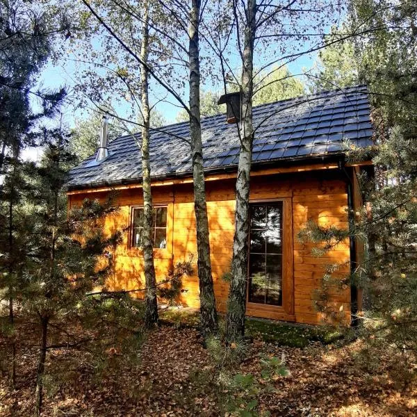 Ajurweda na Jurze Agroturystyka, hotel in Choroń