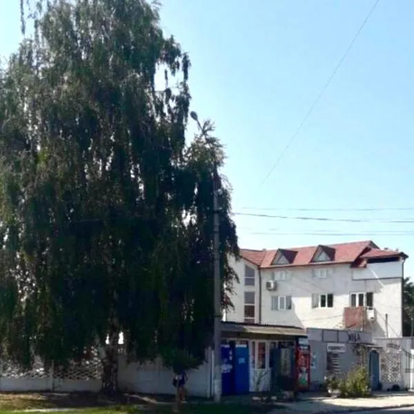 Квартира, hotel in Mamaivci Village