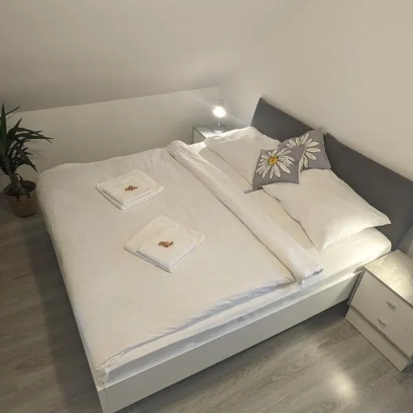 Penzion Janoušek Motorsport Český Krumlov, hotel v destinaci Přísečná