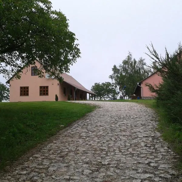 Vadaspuszta Vendeghaz, hotel in Csetény