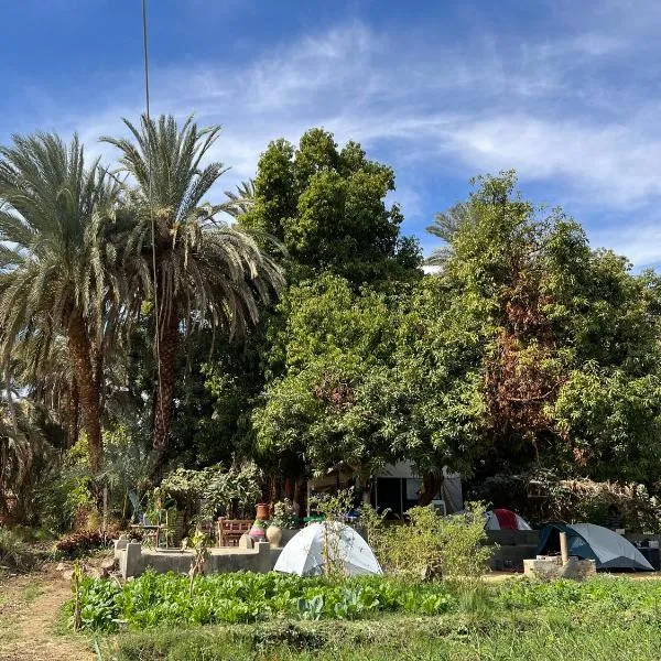 Salatoos Mango Garden and Guesthouse、アスワンのホテル