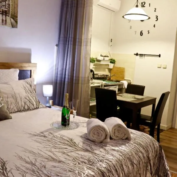 Rodinný Penzion Karin – hotel w Ostravie