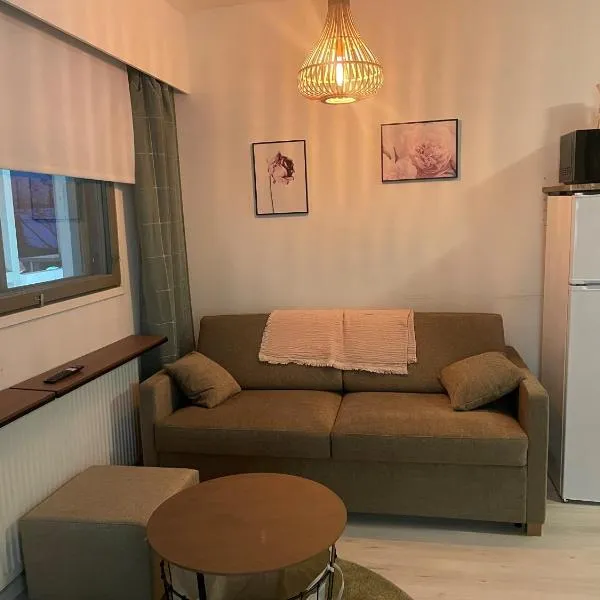 Pitkäkuusen Rahkis, hotel in Lahti