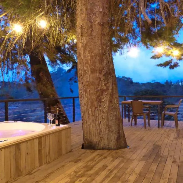 Tree House, Cabaña privada con Jacuzzi, hotel v destinaci Guatapé