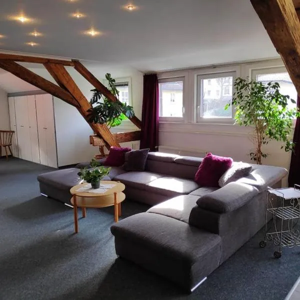 Große 130 m2 gemütliche Wohnung im Herzen Tribergs, hotel v destinaci Triberg
