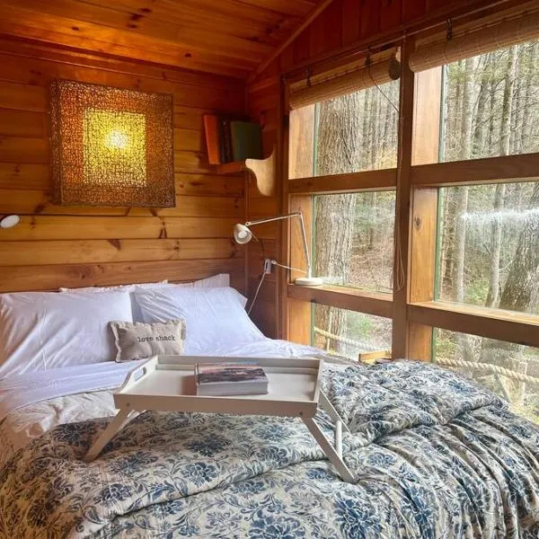 Private Mtn Love Shack w/ fast wifi, BBQ & view, hotel in Franklin
