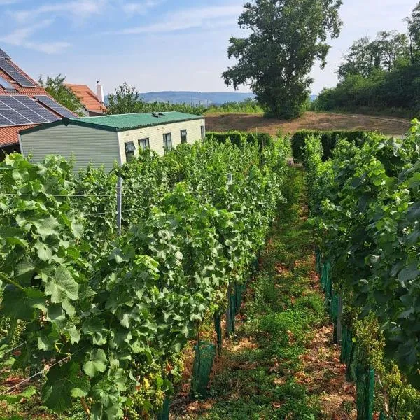 Mobilheim Žabčice, hotell sihtkohas Rajhrad