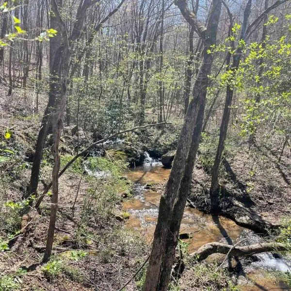 Hilltop Haven w/Creek&Waterfall Dntwn McCaysville, hotel in McCaysville